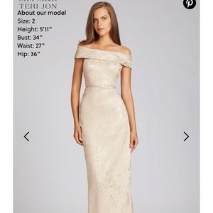 Teri Jon gown